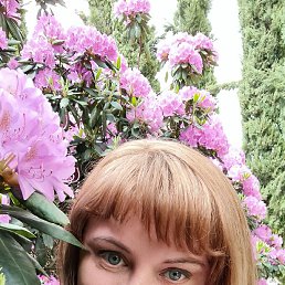 ������, ����������, 46 ���