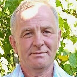 ������, �������, 51 ���