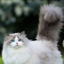 ���� �������, ������������, 58 ��� - ��������� 29 ������ 2023