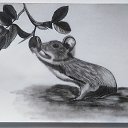  ,  , 51  -  17  2023    