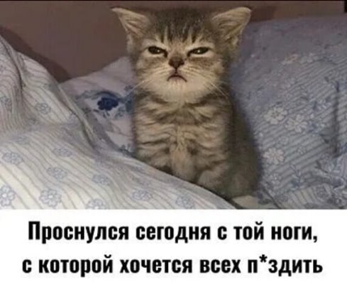  - 15  2022  22:06