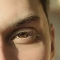 �����, �����-���������, 46 ���