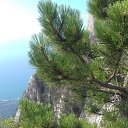 ���� Marlen, ����������� - ��������� 18 ������� 2022 � ������ ������ ��������