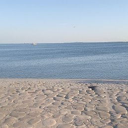 Adem, ����, 45 ���