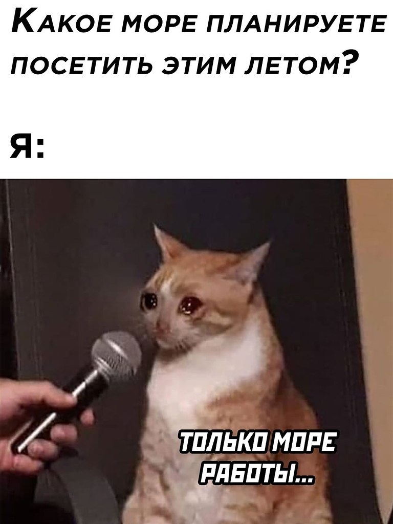 ☆ ☆ - 19  2023  06:33