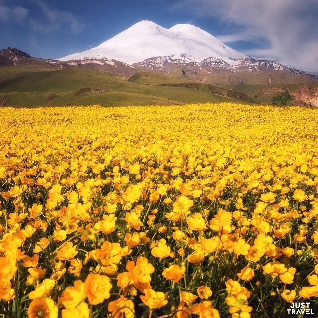 aa.#art #travel #world - 4