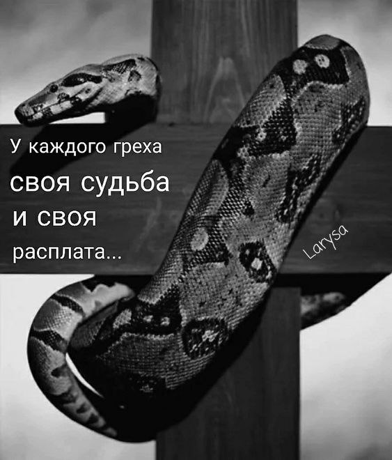    ,   : "...   - ..." (  ...