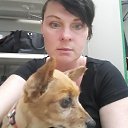  , -, 42  -  23  2022    