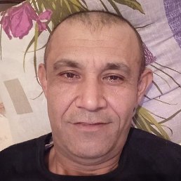 ������, ���������, 41 ���