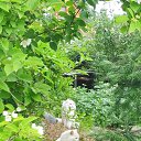 ���� ��������, �����-���������, 69 ��� - ��������� 13 ������� 2022