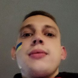 , , 29 