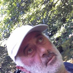 ��������, �������, 59 ���