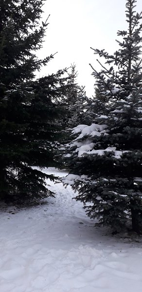 были у меня такие зимы на Крайнем севере, снежные и снега по горло...как весело было спрыгнуть с 3 ... - 5