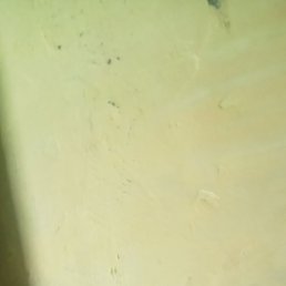 Cxgd, , 39 