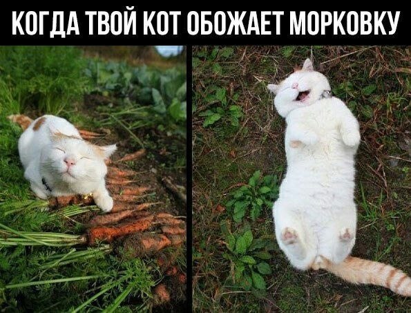 ��� �������� �������� - 19 ������ 2022 � 03:21