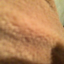 ������ �����, �������, 39 ���