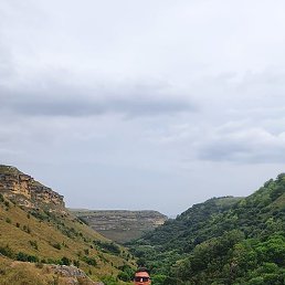 �����, ����������, 41 ���