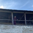  ,  , 52  -  14  2022    