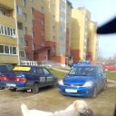 ���� Gleb, ��������� - ��������� 16 ������� 2022 � ������ ���� ����������