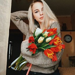 ����������, ������, 24 ����