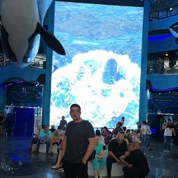 ������, ����-���������, 43 ����