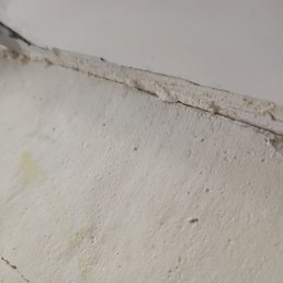 , , 29 