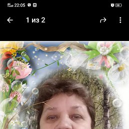 ���� �������, �������, 62 ���� - ��������� 13 ������� 2022