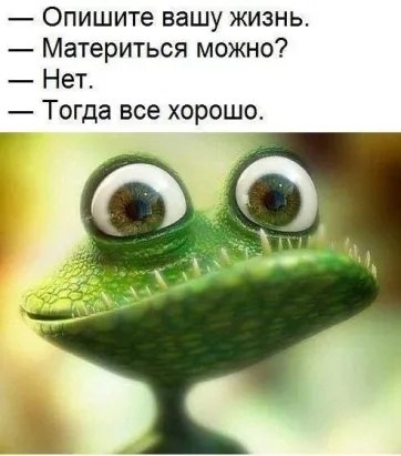  - 27  2023  08:54