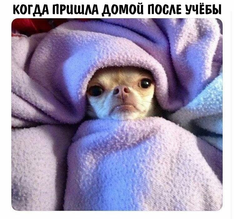    - 7  2023  17:18