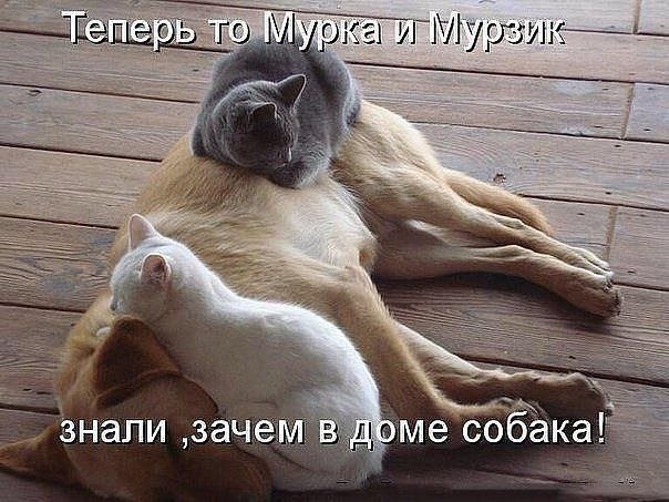    - 20  2022  21:33