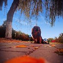 ���� �������, �����, 37 ��� - ��������� 6 �������� 2022 � ������ ���� ����������