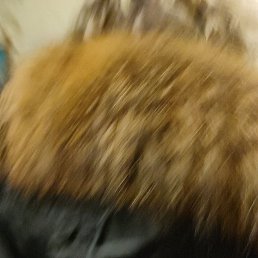 ���� �����, ������, 37 ��� - ��������� 18 ������ 2023