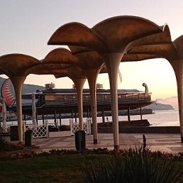 ���� �������, ����, 72 ���� - ��������� 6 ������� 2022