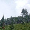 ���� �����, ��������, 38 ��� - ��������� 17 ������ 2023 � ������ ���� ����������