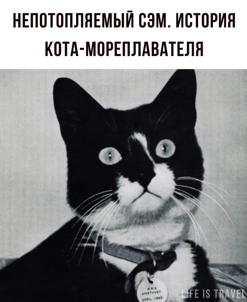 LIFE -  - 29  2022  07:54