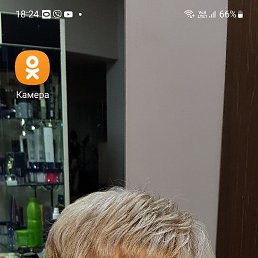  , , 61  -  12  2023