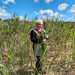 ���� �������, �����, 46 ��� - ��������� 12 ��� 2022