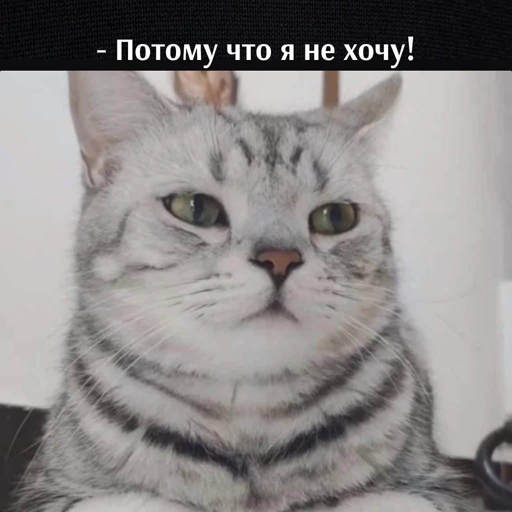       - 13  2023  16:49 - 3