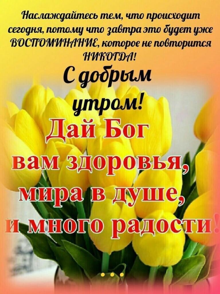 ***Victoria Viktorovna*** - 4  2022  08:43