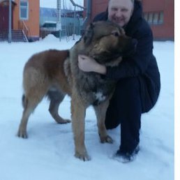 ����, ����, 60 ���