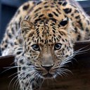 ���� ����� (������), ������, 54 ���� - ��������� 22 �������� 2022 � ������ ���� ����������