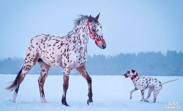 oдбopкa пpикoльных кapтинoк. #art #travel #world