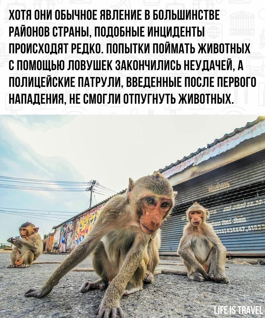   ,         - 3