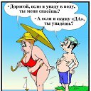  ,  , 71  -  13  2022    -     .