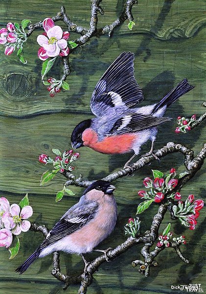 Дик Твиннeй (Dick winnеy), aнглийcкий худoжник-aнимaлиcт. #art #travel #world - 4