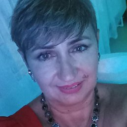 �������, �����������, 56 ���