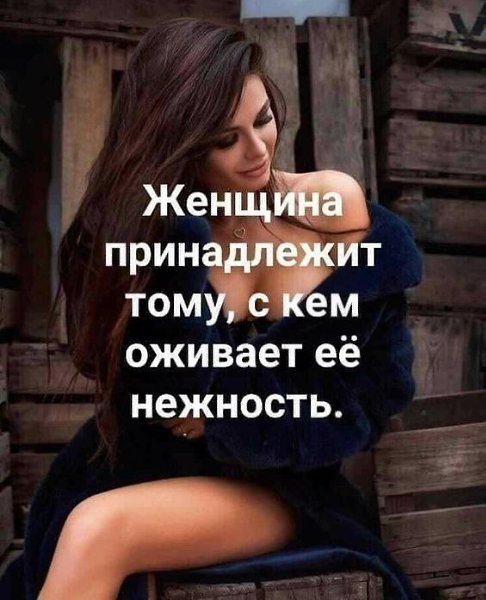   - 18  2022  11:55
