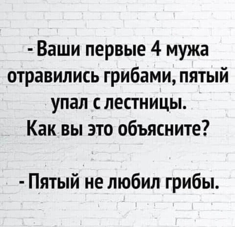 ☆ ☆ - 13  2022  22:08