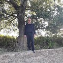 ���� ���������, �������������, 61 ��� - ��������� 12 ������ 2023 � ������ ���� ����������
