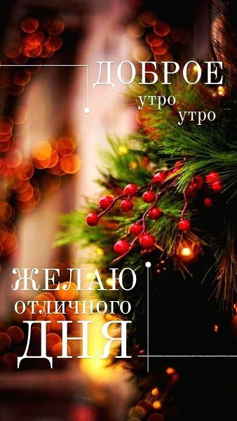 ***Victoria Viktorovna*** - 5  2022  05:57